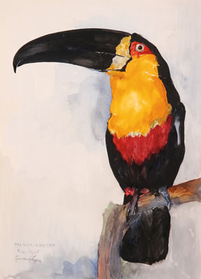 Resting Toucan- 1928 by Gustav Jager - Auction record, sale price, and art valuation. Compare with similar artists and explore comparable artworks.