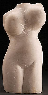 Torso