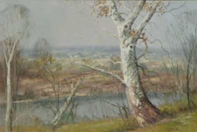 SYCAMORES ON THE RIVER