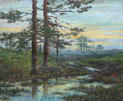 The Pines