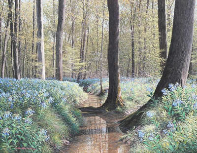 "Bottomland Bluebells"