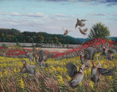 "October Bobwhite" by Ken Bucklew - Auction record, sale price, and art valuation. Compare with similar artists and explore comparable artworks.