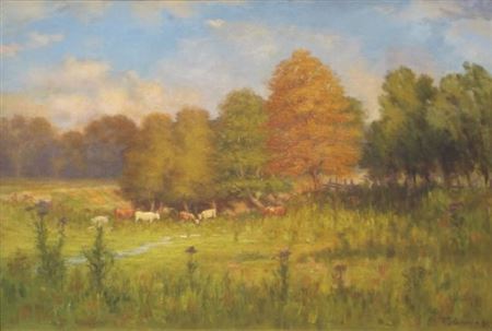 Grazing Cattle