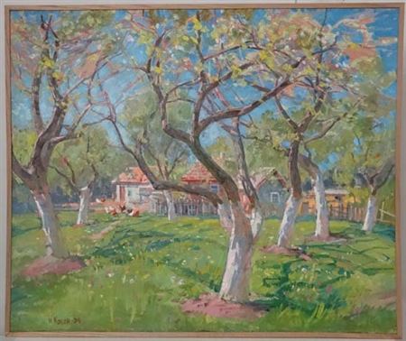 Apple trees blooming