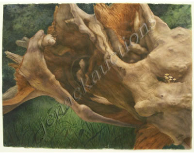 NATURE STUDY