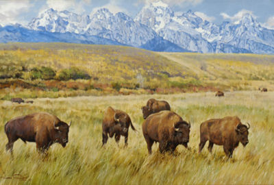 Bison in Wyoming by Dino Paravano - Auction record, sale price, and art valuation. Compare with similar artists and explore comparable artworks.