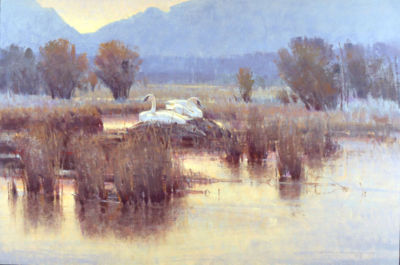 Golden Dawn-Trumpeter Swans