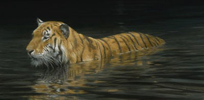 RIVER FORD-TIGER