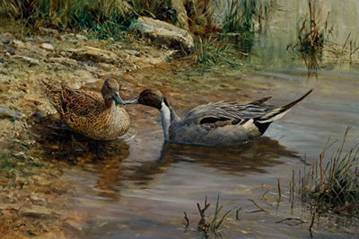 William Hollywood - artist photo for art wanted listing (Charleston, SC)
