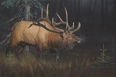 Daniel (Dan) Smith - artist photo
