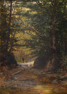 Fly Fisherman