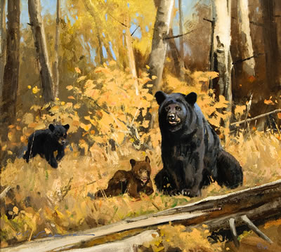 Playtime, 2005