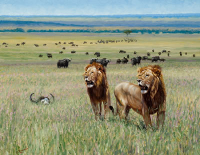 Nomadic Buffalo Hunters, 2010