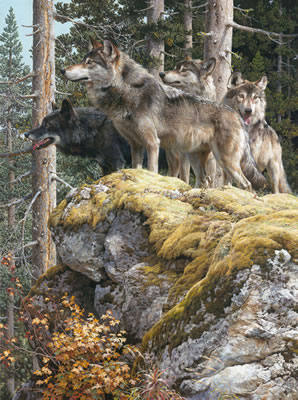 Lookout Tower - Timberwolves, 2009 by Carl Brenders - Auction record, sale price, and art valuation. Compare with similar artists and explore comparable artworks.