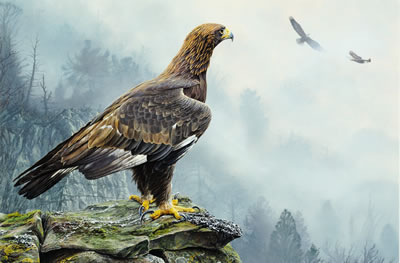 Golden Eagle by Alan M Hunt - Auction record, sale price, and art valuation. Compare with similar artists and explore comparable artworks.