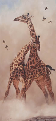 Neck n' Neck
