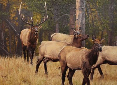 Disturbing the Peace by Kyle Sims - Auction record, sale price, and art valuation. Compare with similar artists and explore comparable artworks.