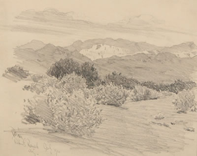 Desert Dances, Robert's Ranch, Arizona