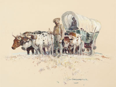 Prairie Schonner