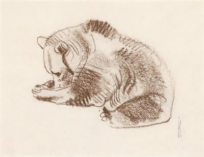 Grizzly Bear