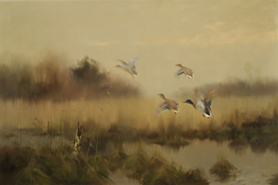 Ducks