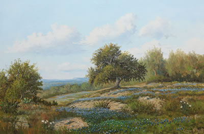 Scenic Bluebonnets by Charles Pruitt - Auction record, sale price, and art valuation. Compare with similar artists and explore comparable artworks.