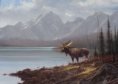 Wyoming Majesty