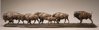 The Buffalo Trail