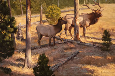 Early Sun, 2012