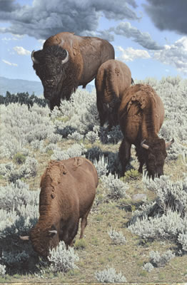 Kingdom of the West by Adam Smith - Auction record, sale price, and art valuation. Compare with similar artists and explore comparable artworks.