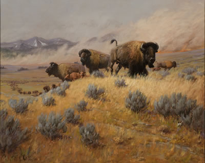 The Smell of Smoke - Yellowstone Fire