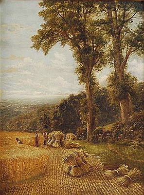 Harvest Time