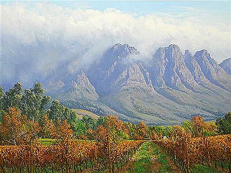 Franschoek Vineyards
