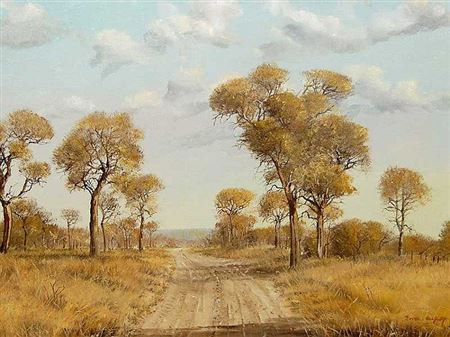 Bushveld Landscape with Country Road