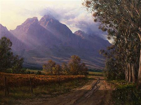 Mountain Landscape with Vineyard