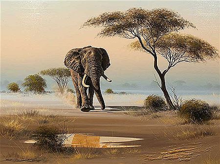Elephant Bull by Brian Scott-Dawkins - Auction record, sale price, and art valuation. Compare with similar artists and explore comparable artworks.