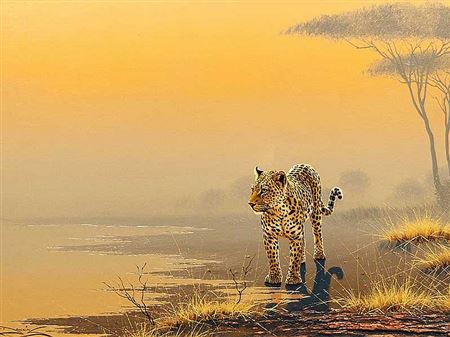 Cheetah