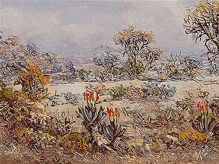 Bushveld Landscapes with Aloes (2)