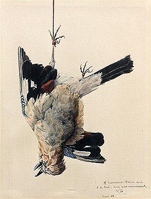 NATURE MORTE AU GIBIER A PLUMES