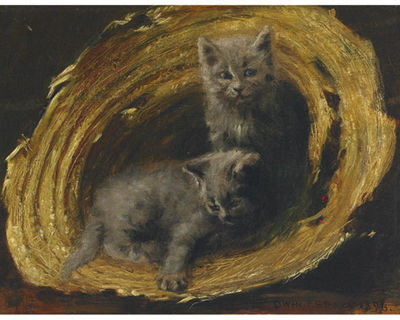 The Kittens