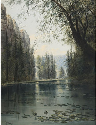 LILY POND