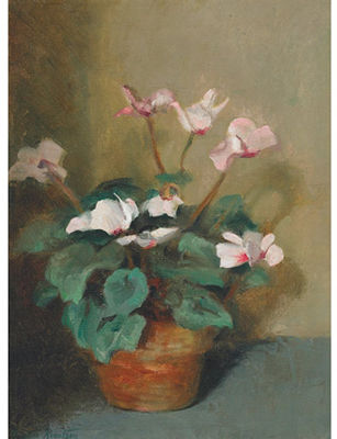 CYCLAMEN IN A TERRACOTTA POT