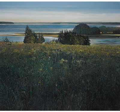 FARLEY'S FIELD, CAPE BRETON IS.