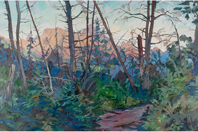 EVENING TRAIL
