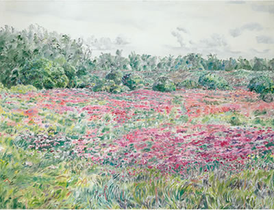 SUMMER LANDSCAPE