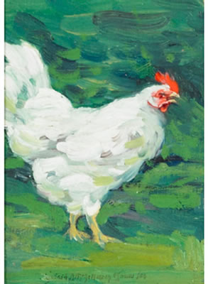 STUDY OF A ROOSTER