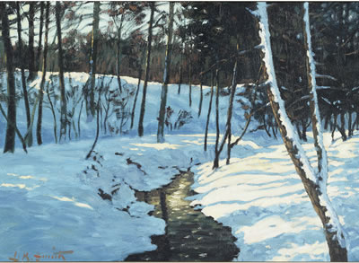 WINTER SUNLIGHT THROUGH THE FOREST