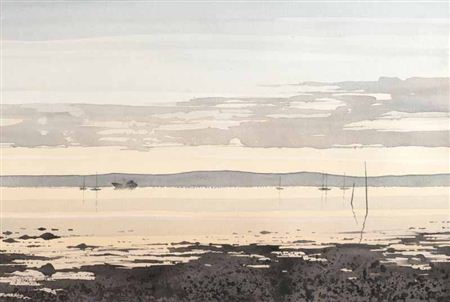 BELFAST LOUGH SHORE