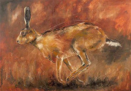 STARTLED HARE