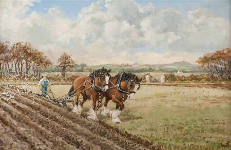 PLOUGHING THE FIELD